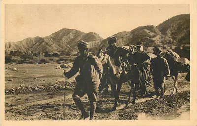 Convoi de feridos em Kifane — A Guerra no Marrocos — Foto COUTANSON n°19