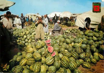 Mercado de melões de Agadir — Editora Ediciones ESCUDO DE ORO, n°12