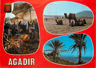 Agadir — Mercado, praia com camelo, palmeiras — Komaroc SA