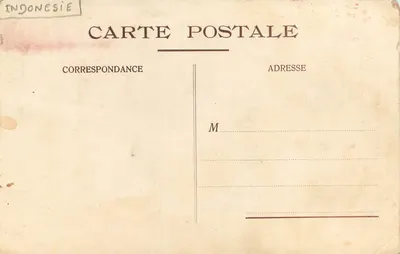 Bilhete postal moderno Zizi Bamboula e sua Mãe Macaco Chimpanzé — Verso
