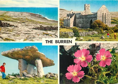 The Burren — paisagem costeira, ruínas, dolmen e flores — John Hinde Original