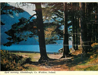 April morning, Glendalough, Co. Wicklow, Ireland — Panman Cards Ltd, n° 340