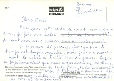 Paisagem costeira irlandesa — dois carneiros — Insight Cards — Verso