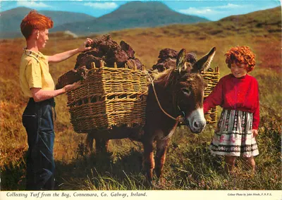 Coletando Turfa do Pântano, Connemara, Condado de Galway, Irlanda — Foto Colorida por John Hinde, F.R.P.S.