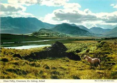 Valley de Maam, Connemara, Condado de Galway, Irlanda — Foto D. Noble, John Hinde Studios