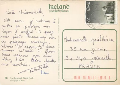 Vacas e ovelhas em uma estrada costeira — Oeste de Cork — Irlanda Pessoas & Lugares, série 88 — Verso
