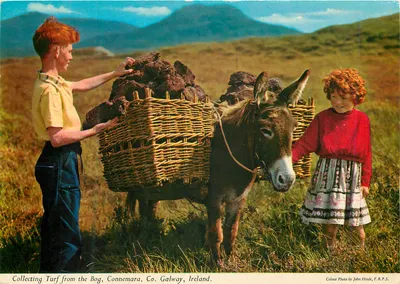 Coletando Turf da Lagoa, Connemara, Co. Galway, Irlanda — Foto colorida por John Hinde, F.R.P.S.