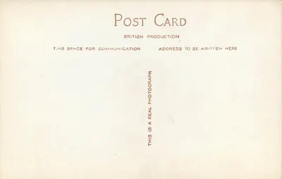 Invalids Walk, Bournemouth — cienista promenada pod sosnami — wydawca nieznany, nr 3393 — Rewers