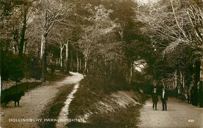 Hollingbury Park, Brighton — dois homens e um cachorro em um caminho florestal — editor desconhecido, n° 933