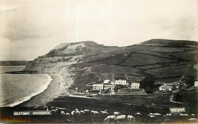 Chideock — vila costeira com falésias e rebanho de ovelhas — WW.207