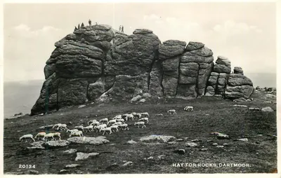 Hay Tor Rocks, Dartmoor — widok skał i owiec — Harvey Barton & Son Ltd, Bristol, n° 20134