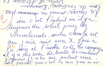 Sun Lounge, Marchington — widok wnętrza jasnego salonu z ogródkiem na tle — Rewers