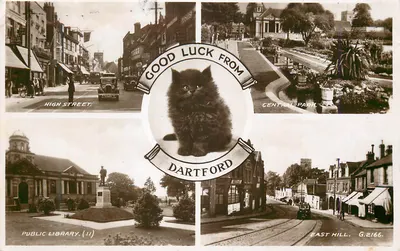 Dartford — Good Luck from a kitten — Valentine's Postcard