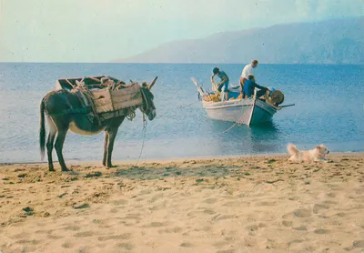 Praia da Grécia — paisagem costeira — editor desconhecido