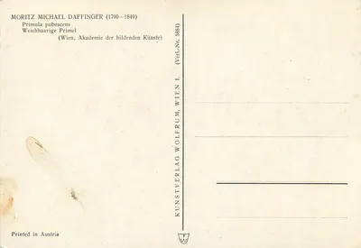 Primula pubescens — Primula de pelos suaves — Kunstverlag Wolfrum, Viena, n° 5884 — Verso