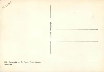 Góra Kenia - 17041 stóp — widok alpejski z lokalną roślinnością — D. Frank, Frank Studio, Mombasa, nr 503 — Rewers