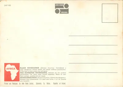 Três rinocerontes negros — monte Kilimandjaro no fundo — John Hinde Original — Verso