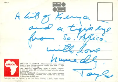 Grande Flamante e pequeno — Quênia — John Hinde Original — Verso