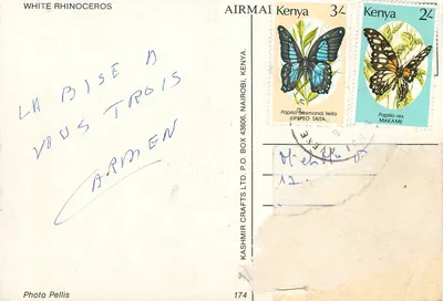 Rinoceronte branco — Quênia — Foto Pellis, editor Kashmir Crafts Ltd. n°174 — Verso