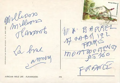 Flaminki — seria 398 — wydawca SAPRA STUDIO, P.O. BOX 45882, NATION — Rewers