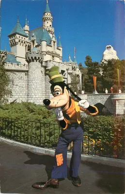 Goofy — Disneyland — Disneyland