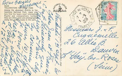 Urso no Parque Nacional Yellowstone — editor Mike Roberts, n° 08196 — Verso