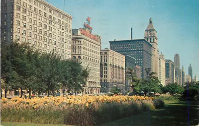 Michigan Boulevard — Chicago, Illinois — Pub. by Cameo Greeting Cards, Inc.