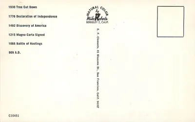 Tronco de árvore — anéis cronológicos — Mike Roberts, Berkeley 2, Califórnia — Verso