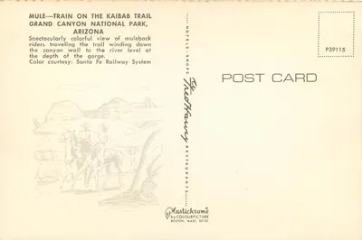 Trecho de mula no caminho do Kaibab — Parque Nacional do Grand Canyon, Arizona — Plastichrome by Colourpicture — Verso