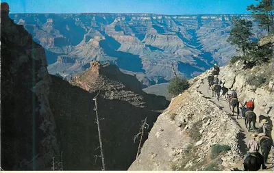 Grand Canyon — Trem de mules no caminho Bright Angel — editor Petley, n° P-26
