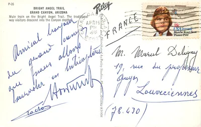 Grand Canyon — Trem de mules no caminho Bright Angel — editor Petley, n° P-26 — Verso