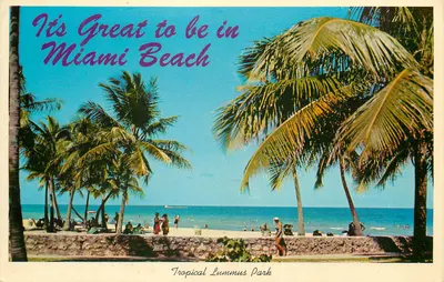Miami Beach — Vista Tropical Lummus Park — Curteichcolor & Gulf Stream Card & Distributing Co.