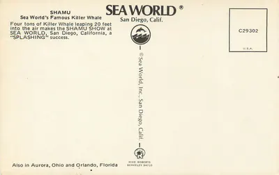 Shamu — Orka skacząca w Sea World San Diego — Sea World, Inc. n° C29302 — Rewers