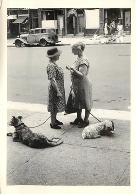 Duas mulheres com seus cães — East End Avenue, Nova York — Dan Weiner, DW-1