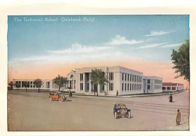 Patos Selvagens, Lago Merritt, Oakland, Cal. — O-228 — Verso