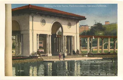 Uma das muitas belas moradias, Oakland, Califórnia — O-253 — Verso