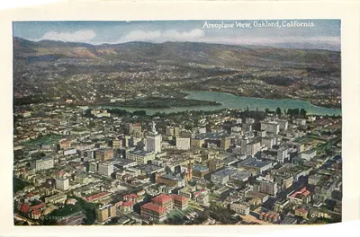 Parque Sequoia, Oakland, Califórnia — vista da floresta — editor O-181 — Verso