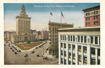 Patos Selvagens no Embarcadero, Oakland, Califórnia — C-145 — Verso