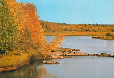 Outono na margem de um lago — Finlândia — Foto Dino Sassi