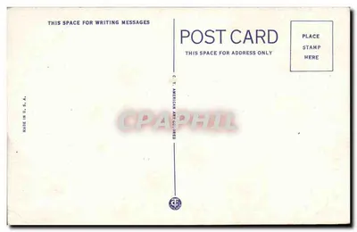 Cmentarz Compo Santo — Matamoros, Meksyk — wydawca R. Runyon, nr 114449 — Rewers