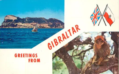 Gibraltar — paisagem marítima e macaco — Rock Photographic Service, série P46