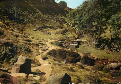 Brontë Seat and Bridge — Yorkshire — Publicado por Walter Scott, CY764