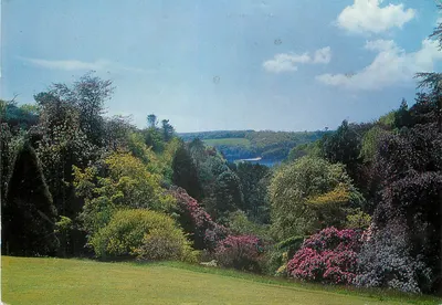 Glendurgan, Mawnan Smith, Falmouth, Cornwall — vista para o rio Helford — impresso pela Larkfield Printing Company Limited