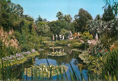 Jardim Botânico de Blanes — Costa Brava — Postales Dura Velasco, série 9, n° 79