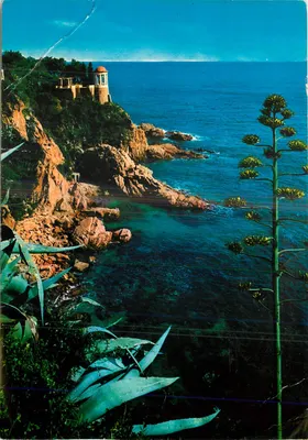 Bilhete postal moderno Blanes Costa Brava Jardim Botânico Detalhe