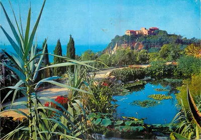 Blanes (Costa Brava) — Jardim Botânico "Mar-i-Murtra" — Éditions Ro-Foto
