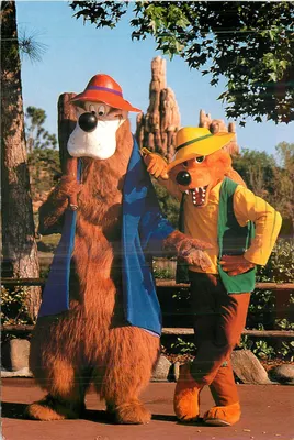 Brer Fox e Brer Bear — Walt Disney World — editor Walt Disney World