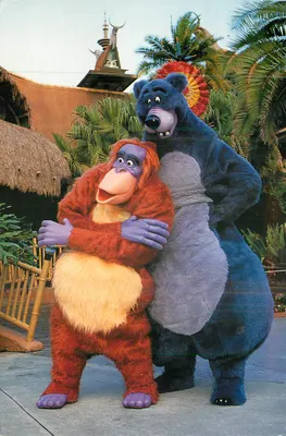 Baloo e King Louie — Walt Disney World — editor Disney