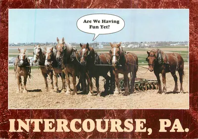 Oito cavalos puxando uma carreta — Intercourse, PA. — Coleção 'Amish Seasons' — Witmer Stuff, Inc.