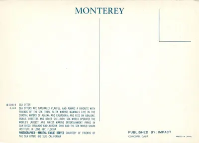 Zając morski — Półwysp Monterey — Impact, nr G-1614 — Rewers